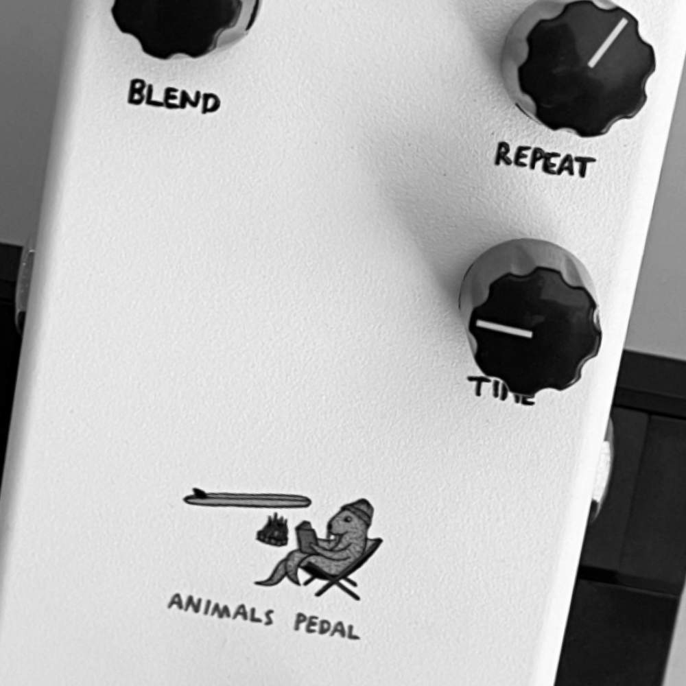 Animals Pedal Relaxing Walrus Delay | Guitar Nine